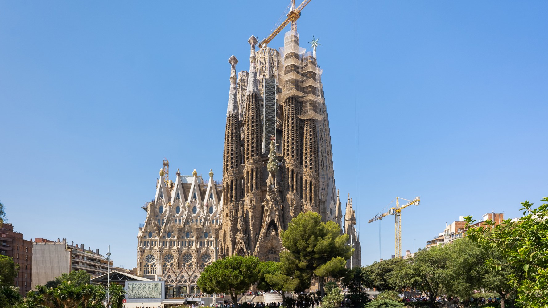 View of a large, ornate cathedral with cranes and trees under a clear blue sky.
